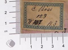 - (Boss/Böss, Carl), Etikett: Name; 'C. Boss/Böss[?] 123 W 137 [mehrfach durchgestrichen] B.3'. 