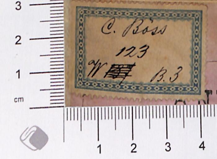 - (Boss/Böss, Carl), Etikett: Name; 'C. Boss/Böss[?] 123 W 137 [mehrfach durchgestrichen] B.3'. 