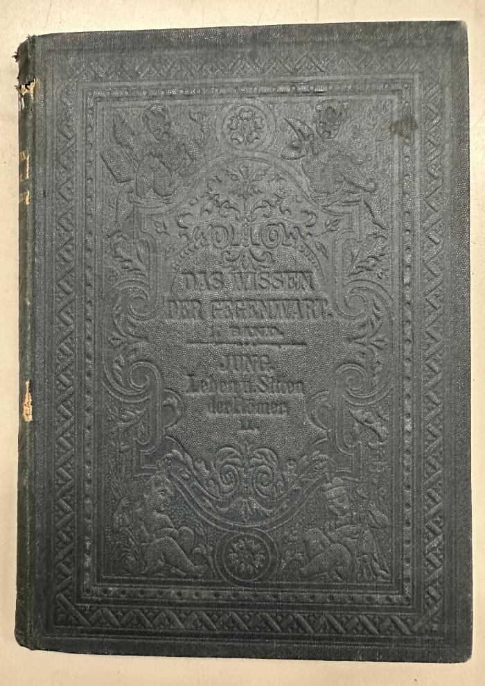 I 1767 2 2.Ex.: Leben und Sitten der Römer in der Kaiserzeit. II. Abteilung: Verschüttete Römerstädte. - Die Römer in den Provinzen. - Lager- und Soldatenleben. - Religion und Philosophie. - Der Ausgang des römischen Weltreichs. (1884)
