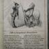Cm 4576: Herrn Gumpelmeier's Einquartierungs-Drangsale während des friedlichen Kriegszustandes (1851)
