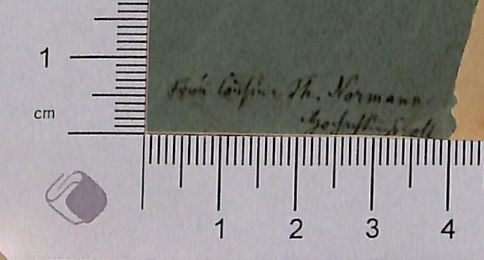 - (Normann, Th. ), Von Hand: Widmung; 'Frau Cousine Th. Normann [ein unleserliches Wort]'. 