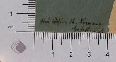 - (Normann, Th. ), Von Hand: Widmung; 'Frau Cousine Th. Normann [ein unleserliches Wort]'. 