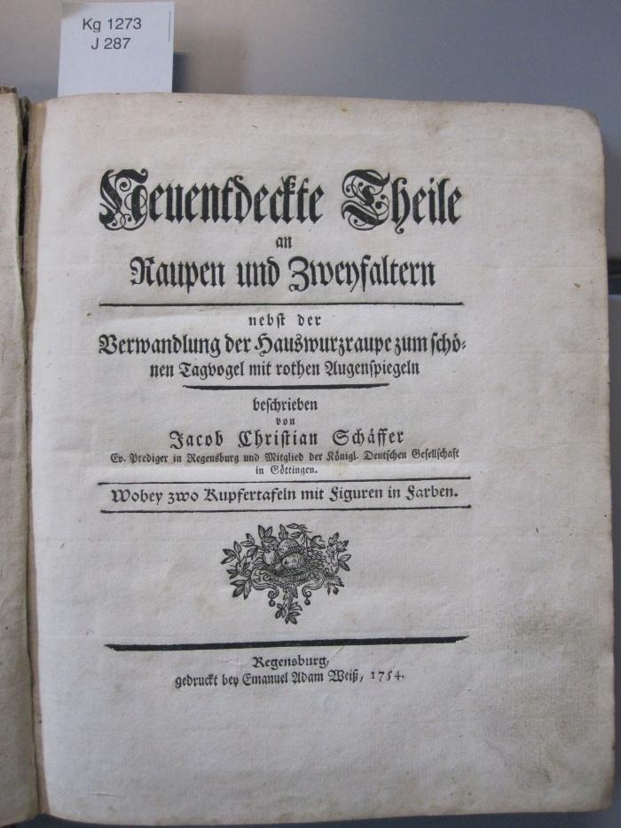Kg 1273: Neuentdeckte Theile an Raupen und Zweifaltern nebst der Verwandlung der Hauswurzraupe zum schönen Tagvogel mit rothen Augenspiegeln (1754)