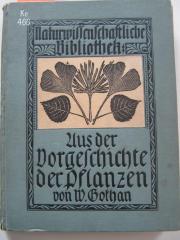 Ke 466: Aus der Vorgeschichte der Pflanzenwelt (1912)