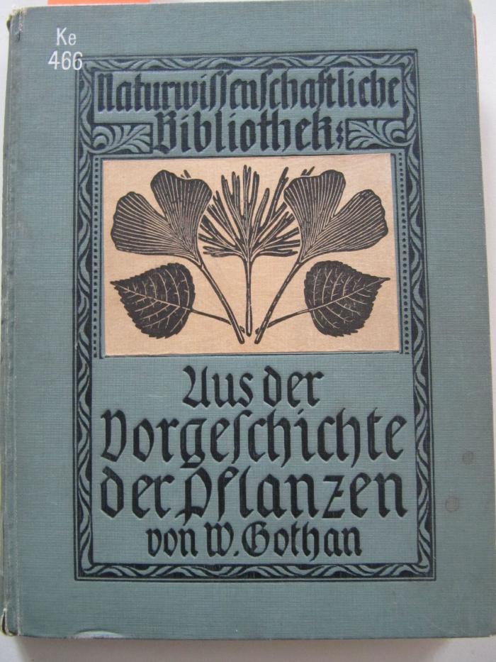 Ke 466: Aus der Vorgeschichte der Pflanzenwelt (1912)