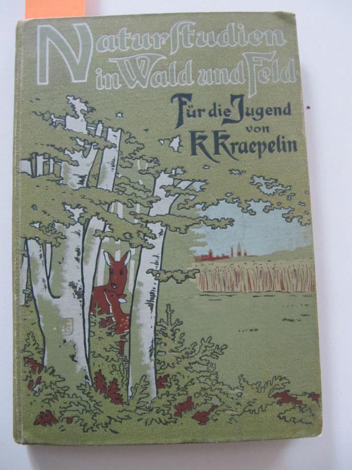 Ka 197 b: Naturstudien in Wald und Feld : Speziergangs-Plaudereien ; ein Buch für die Jugend (1905)