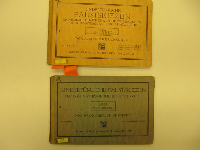 Pe 717 e 2: Pflanzenwelt (1929)