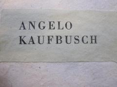 48 / 884 (Kaufbusch, Angelo), Etikett: Name; 'Angelo Kaufbusch'. 