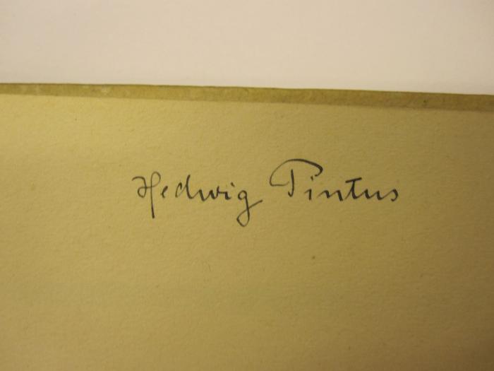 Cm 8211: Der Turmbau zu Babel ([1920]);- (Pintus, Hedwig), Von Hand: Autogramm, Name; 'Hedwig Pintus'. 