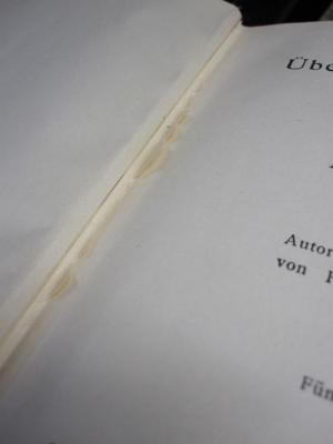 VIII 3124 e: Über Liebe und Ehe (1905);D51 / 529 (Voigt, Margarete), Ausriss: -. 