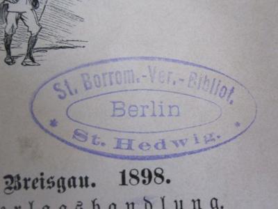 Cw 457: In den Ferien (1898);D51 / 22 (St. Borromäus-Verein Berlin St. Hedwig), Stempel: Name, Ortsangabe; 'St. Borrom.-Verein.-Bibliot. Berlin St. Hedwig.'.  (Prototyp)