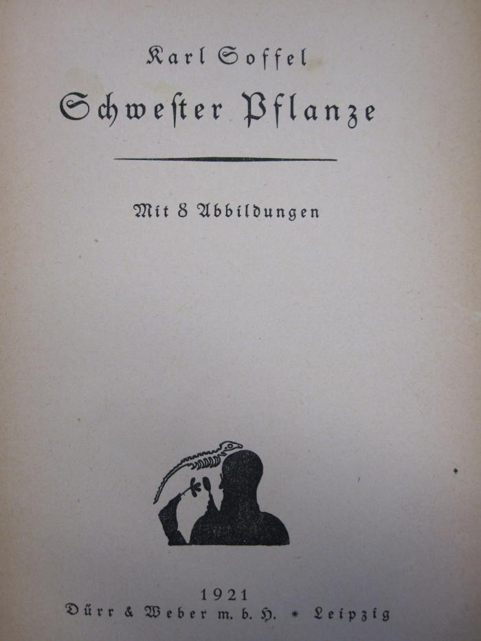 Kf 651: Schwester Pflanze (1921)