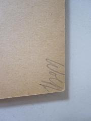 D51 / 241 (Wolff, [?]), Von Hand: Autogramm; 'Wolff'. 