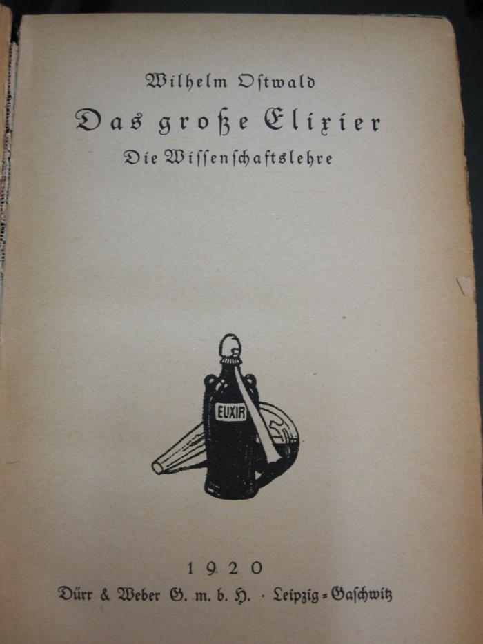 Hn 387: große Elexier, Das (1920)