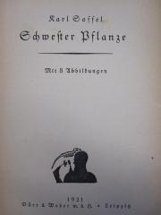 Kf 651: Schwester Pflanze (1921)