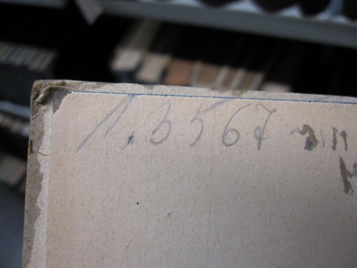 Kf 651: Schwester Pflanze (1921);D51 / 304 (unbekannt), Von Hand: Nummer; '13567'. 
