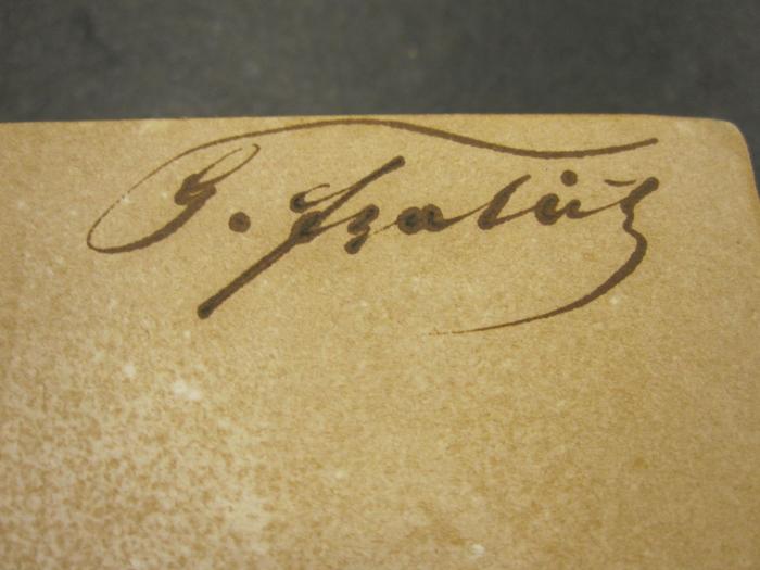L 432 Swi 50: Gulliver's Reisen in unbekannte Länder (1839);56 / 17660 (unbekannt), Von Hand: Autogramm; 'G. [...]'. 