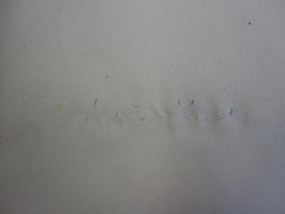 III 40537 d: Vita Somnium Breve (1909);J / 910, Von Hand: Autogramm