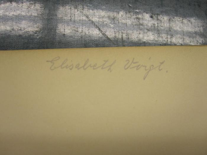 L 238 Ham 51: Amor und Psyche. Eine Dichtung in sechs Gesängen. ([1891]);50 / 1877 (Voigt, Elisabeth), Von Hand: Autogramm; 'Elisabeth Voigt.'. 