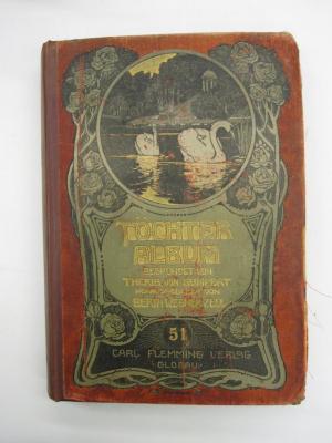 Cw 17 51: Töchter-Album : Unterhaltungen im häuslichen Kreise zur Bildung des Verstandes und Gemütes der heranwachsenden weiblichen Jugend ([1905])