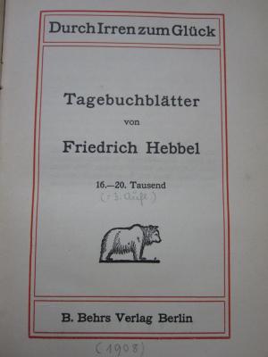 Cg 2409: Durch Irren zum Glück : Tagebuchblätter ([1908])