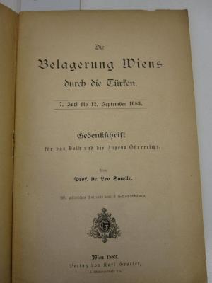  Die Belagerung Wiens durch die Türken (1883)