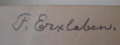 - (Erxleben, F.), Von Hand: Autogramm, Name; 'F. Erxleben'. 