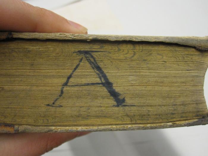  Schillers sämmtliche Werke in zwölf Bänden (1875);- (Auerbach[?], [?]), Von Hand: Initiale; 'A'. 