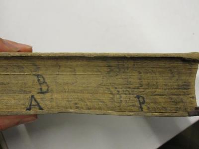  Schillers sämmtliche Werke in zwölf Bänden (1875);- (Auerbach[?], [?]), Von Hand: Monogramm; 'A B P'. 