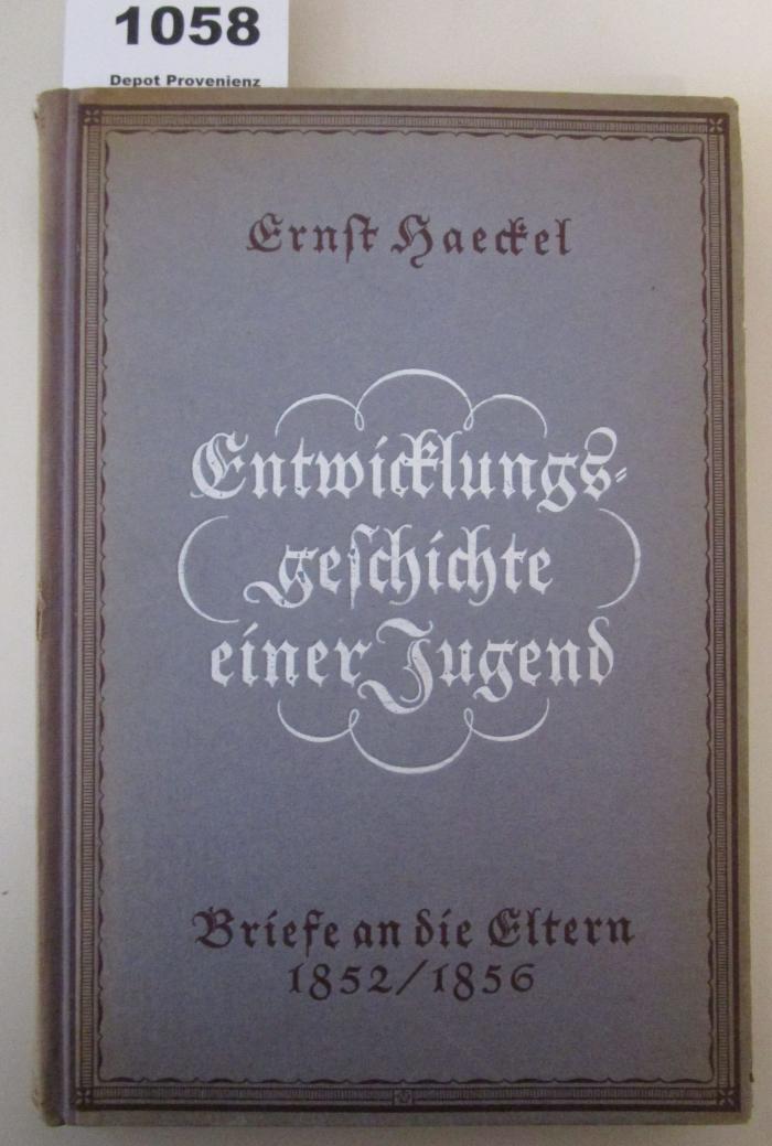 X 194: Entwicklungsgeschichte einer Jugend : Briefe an die Eltern 1852/1856 (1921)