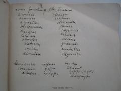 - (Milchner, Flora), Von Hand: Annotation. 