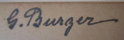 - (Burger, G.), Von Hand: Autogramm, Name; 'G. Burger'. ; Führer durch das Schlossmuseum (1921)