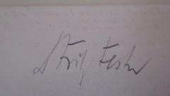 - (Fester, Fritz), Von Hand: Autogramm, Name, Berufsangabe/Titel/Branche; 'Dr Fritz Fester'. 