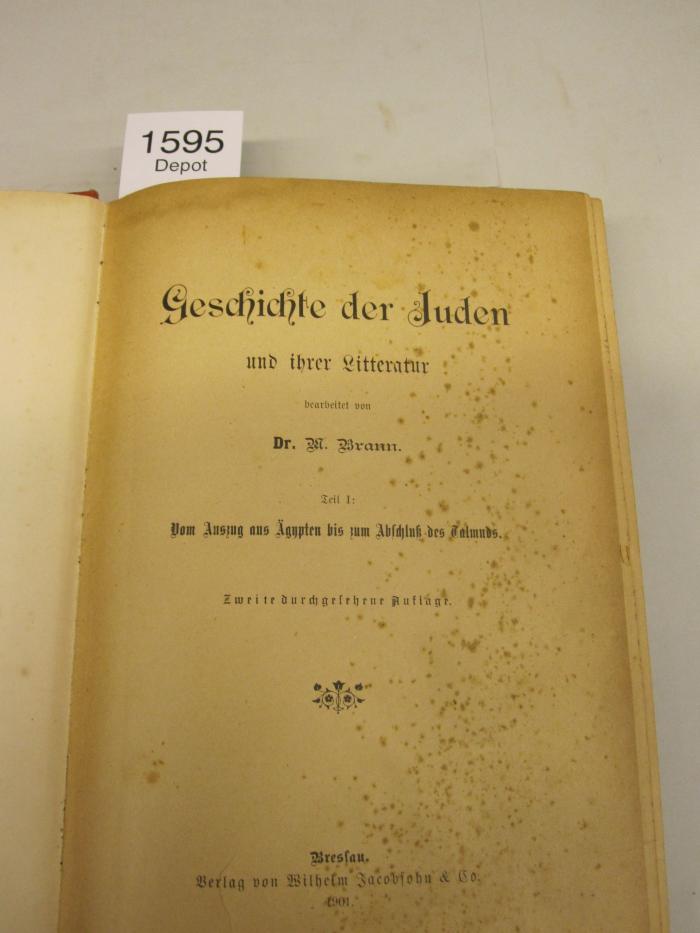  Geschichte der Juden und ihrer Literatur. Vom Auszug aus Ägypten bis zum Abschluß des Talmuds. (1901)