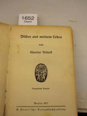  Bilder aus meinem Leben (1917)