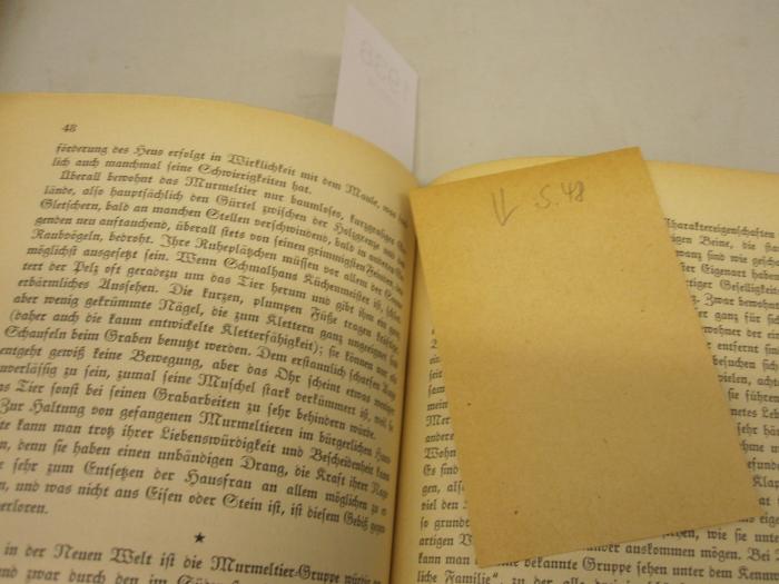 Kg 1491 3. Ex.: Nagetiere : Bei uns und draußen (1932);- (unbekannt), Papier: Annotation; 'S. 48'. 