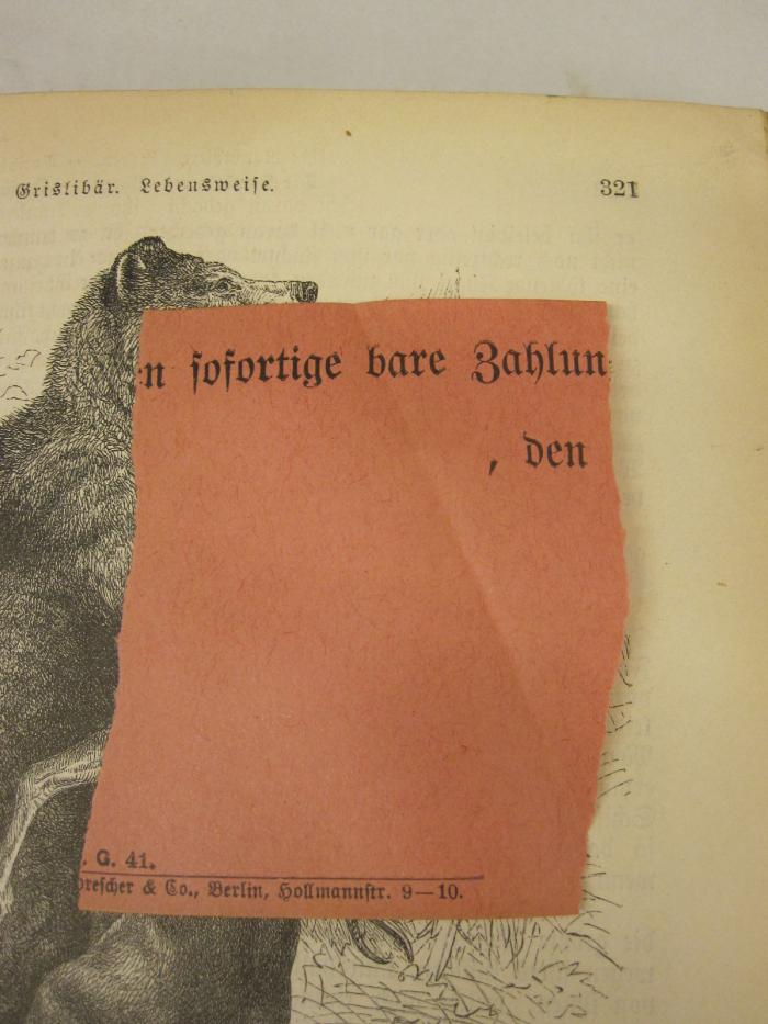  Die Säugetiere (1879);-, Papier: Notiz, Ortsangabe; '[...]n sofortige bare Zahlun[...] , den [...] G. 41. [...] (p)rescher &amp; Co., Berlin, Hollmannstr. 9-10.'