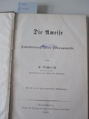 X 4410: Die Ameise (1906)