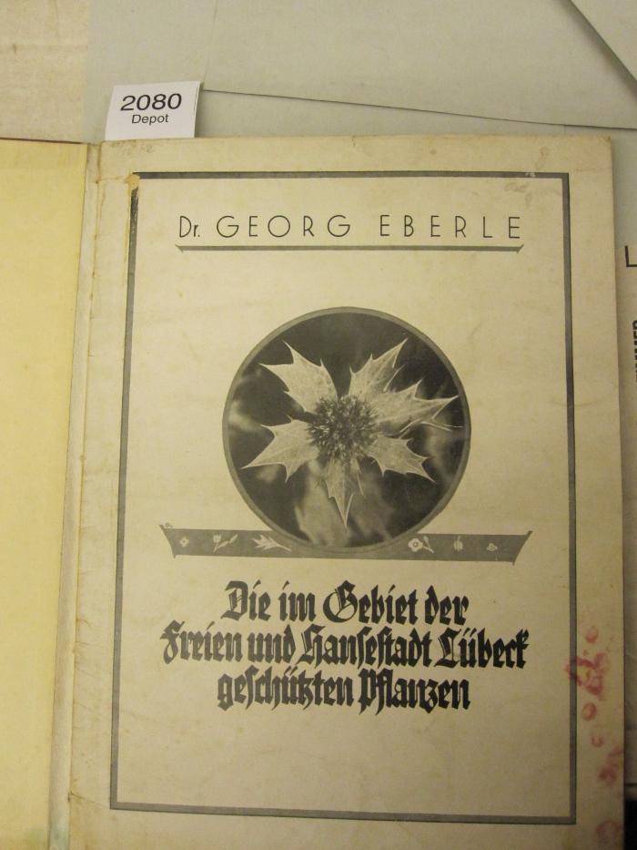Kf 298 x: Die im Gebiet der freien und Hansestadt Lübeck geschützten Pflanzen (1927)