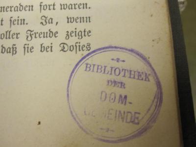 Heckenröschen. Eine Erzählung für Mädchen;- (Volksbibliothek der Domgemeinde), Stempel: Name; 'Bibliothek der Domgemeinde'. 