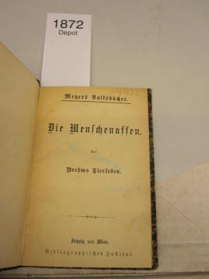  Die Menschenaffen aus Brehms Tierleben