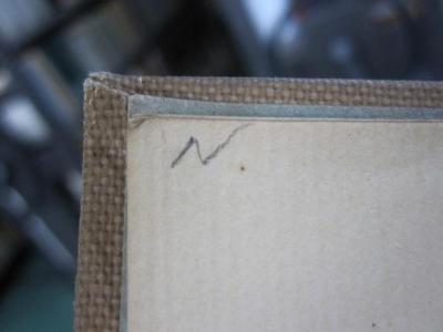 I 30851 b: Die Renaissance : Studien in Kunst und Poesie (1906);G45 / 642 (Nathanson, Adelheid), Von Hand: Initiale; 'N'. 