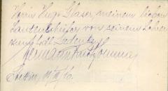 Do 41: Alte Musikinstrumente. Ein Leitfaden für Sammler (1916)