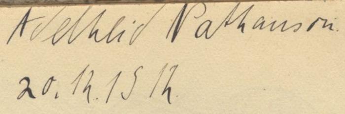 Ch 459: Poesie im Zuchthaus ([1912]);J / 753 (Nathanson, Adelheid), Von Hand: Autogramm, Name, Datum; 'Adelheid Nathanson. 20.12.1912'. 