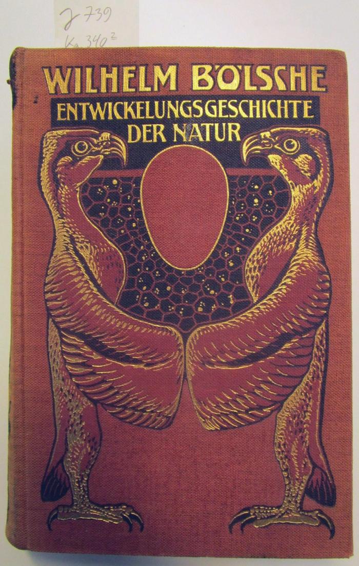 Ka 340 2: Entwicklungsgeschichte der Natur in zwei Bänden ([1922])