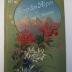 Kf 404 ac: Flore coloriée portative du touriste dans les Alpes ([1911])