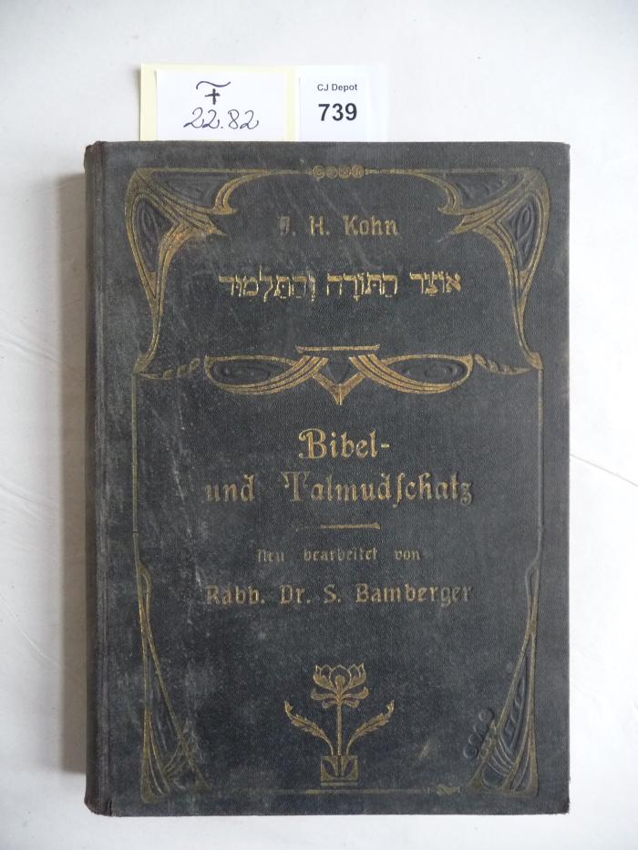 F 22 82: Bibel und Talmudschatz. (Osar ha-tora veha-talmud). Ein Buch für die jüdische Familie. (1910)