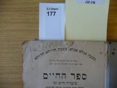 - (Cohn, Jacob), Von Hand: Autogramm; 'Jacob Cohn'. 