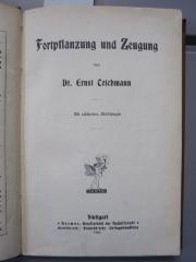 Kg 1284: Fortpflanzung und Zeugung (1907)