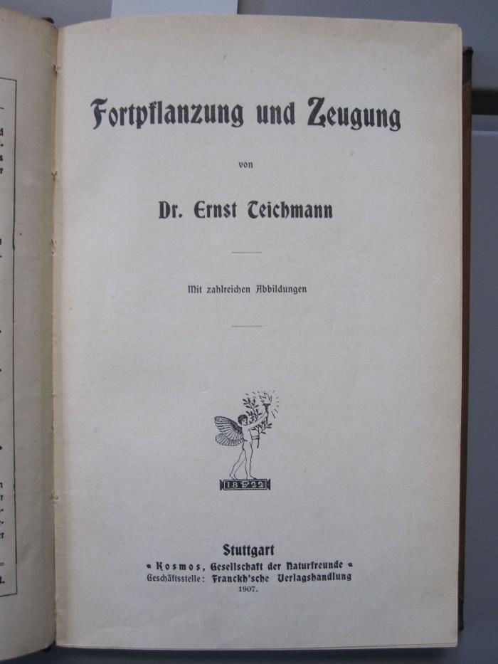 Kg 1284: Fortpflanzung und Zeugung (1907)